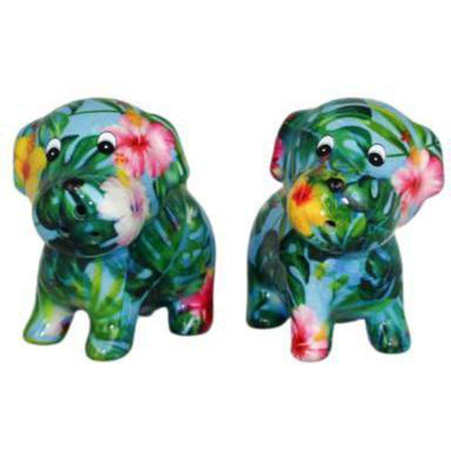 Chien Bruno | Ensemble Sel & Poivre