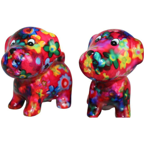 Chien Bruno | Ensemble Sel & Poivre