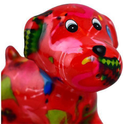Chien Bruno | Ensemble Sel & Poivre